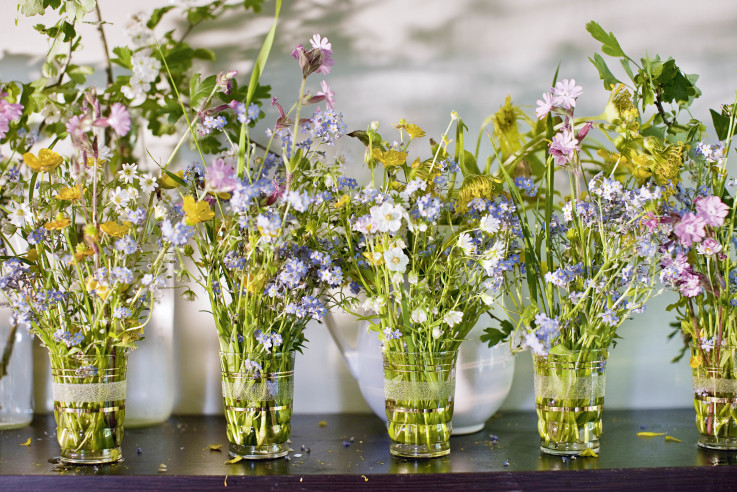 Blumenmalerinnen_Callwey_297