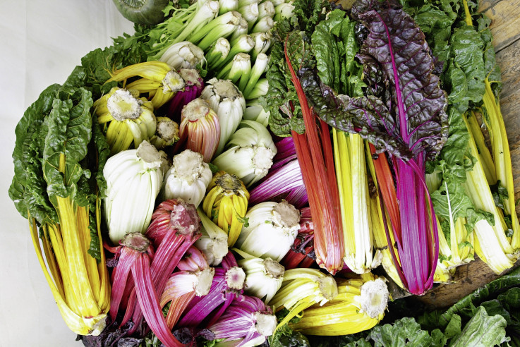 Kuechengaerten_Callwey_1