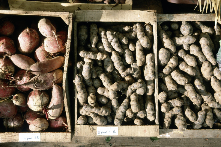 Kuechengaerten_Callwey_23