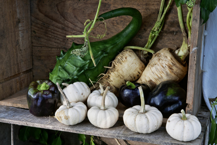 Kuechengaerten_Callwey_76