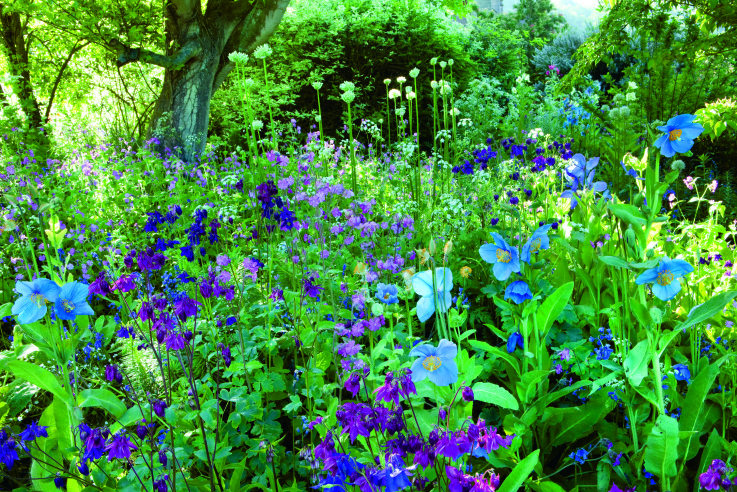 Callwey_Englische_Gartenikonen_Howcroft_Majerus_1