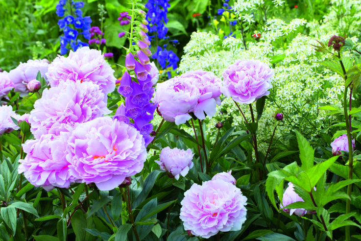 Callwey_Englische_Gartenikonen_Howcroft_Majerus_2