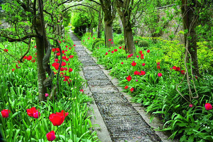 Callwey_Englische_Gartenikonen_Howcroft_Majerus_3