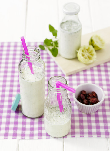 Kokos Limetten Shake Rezept | Sommergetränk | Vegan | Laktosefrei | Plant Power | Patrick Gebhardt | Alpro GmbH | Callwey