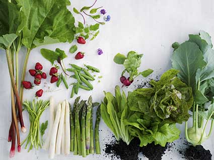 Barbara Bonisolli: Das vegetarische Kochbuch, Frühling