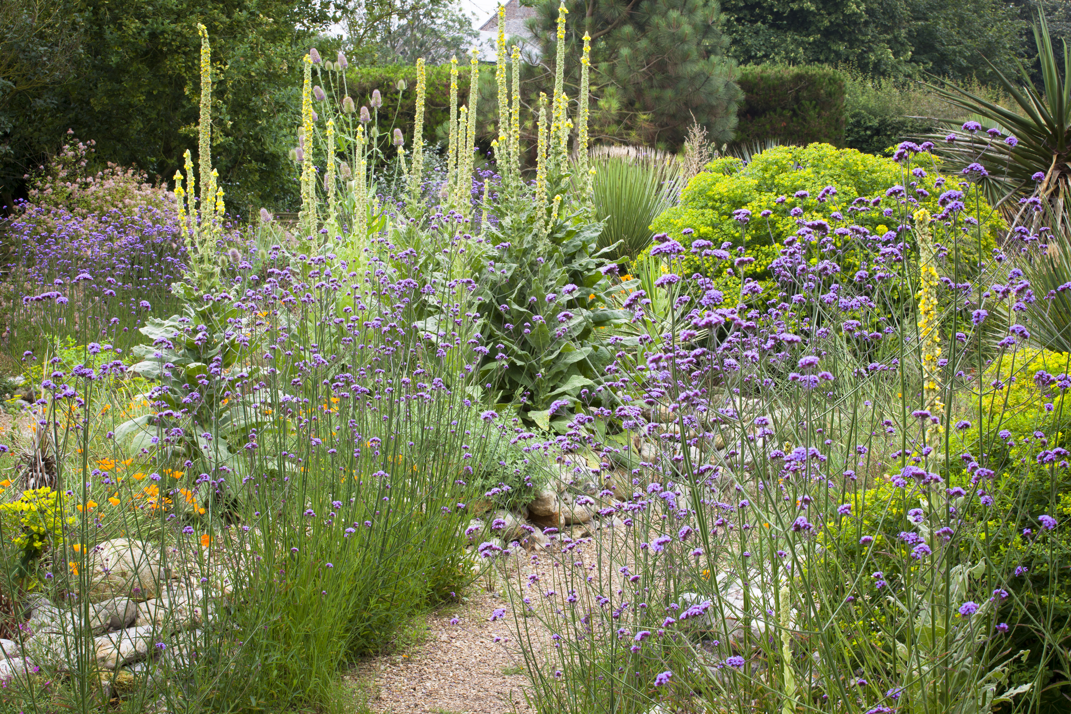 Gartenfestivals Callwey