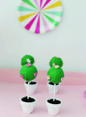 callwey-fräuleinklein-cakepops