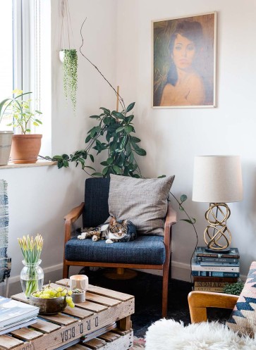 homestory-urban-jungle