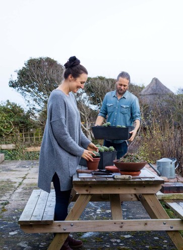 urban-jungle-homestory