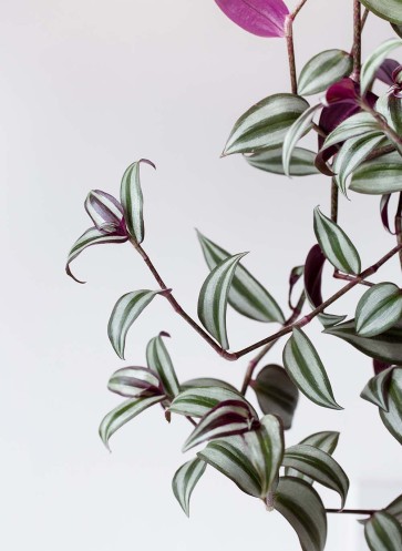 wohnen-in-gruen-homestory