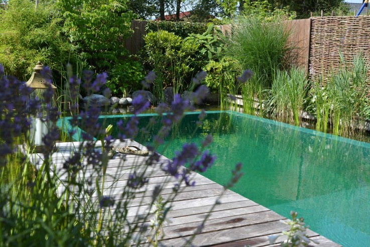 Gärten des Jahres Callwey Gartenbuch Küchengarten Aufmacher