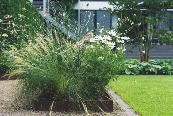 Gärten des Jahres Callwey Gartenbuch Federgras Eisenkraut