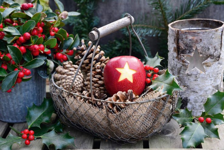 wintertraum weihnachtszeit deko