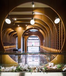 [callwey]-[storebook2019]-[zoocovinotecavalladolid]