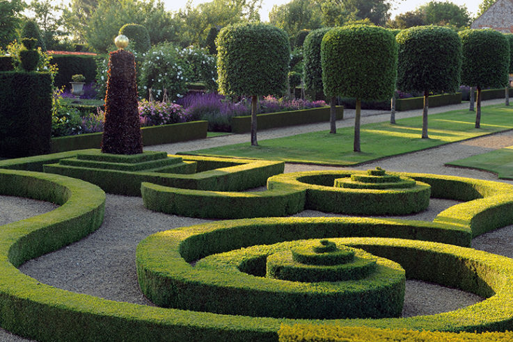 Formale Hecken der Hilborough House Gardens