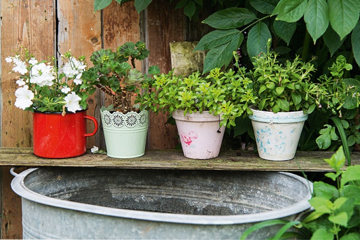 callwey-[Gartenglück]-[Garten]