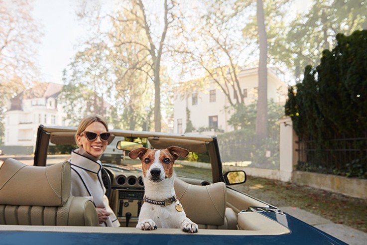 callwey-[Hundebuch]-[cover]