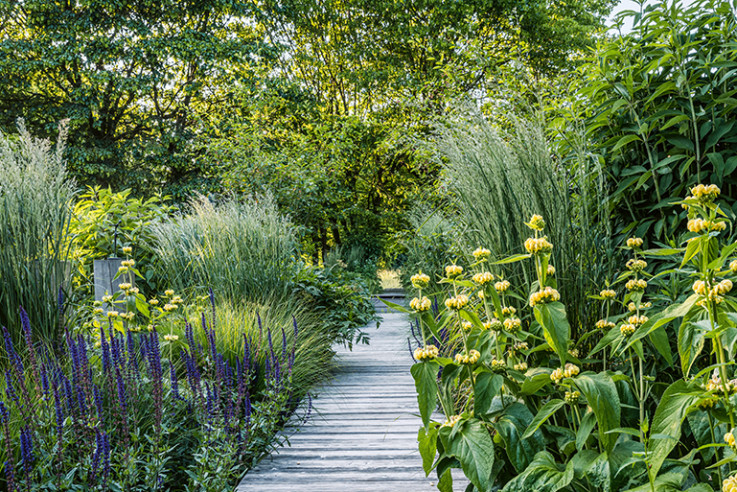 04 Bepflanzung Steg_Stege an den Feuchtwiesen_Schnelting_WEB