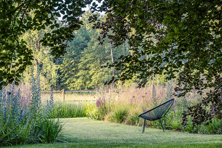 06 Sitzplatz Wildstauden_Stege an den Feuchtwiesen_Schnelting_WEB