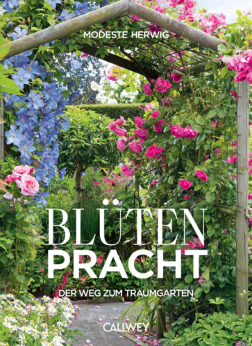 Bildschirmfoto 2024-02-23 um 11.01.26