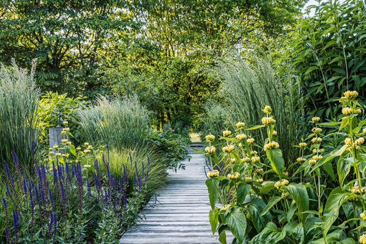 callwey-gaerten-des-jahres-preisverleihung-naturwohnraum-2