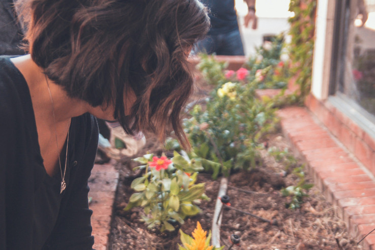 Callwey Frühlingstraum