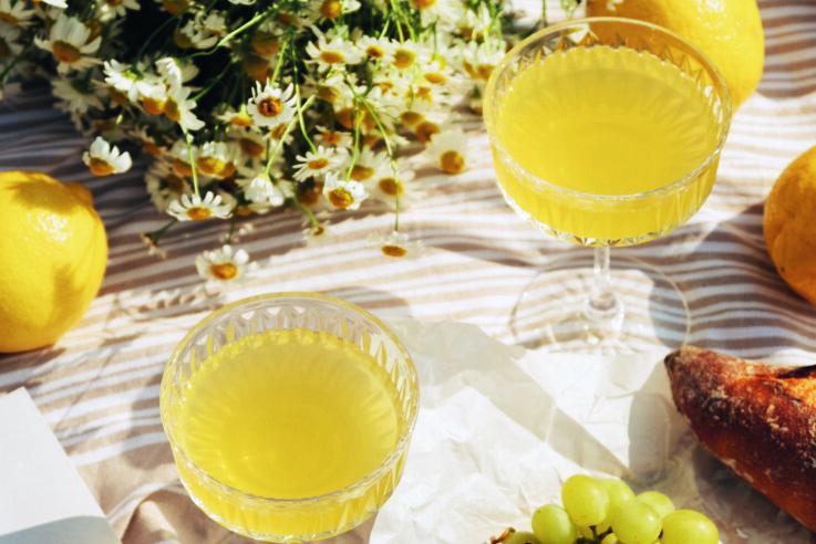 Callwey Frühlingstraum