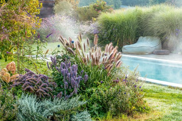 Alexandra Lehne SOULGARDEN