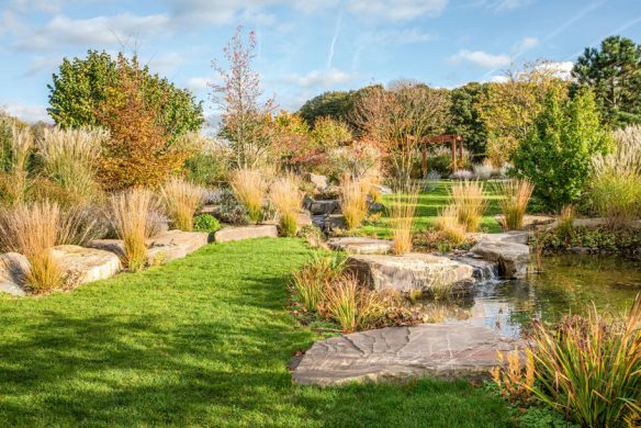 1098_Peter Berg_Ein Garten ist viel mehr als Rasen und Hecke_Gewässerrandzonen_WEB