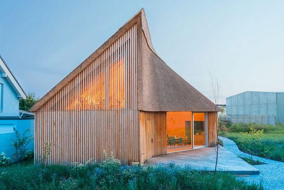 1473_EFH-mit-Schilfdach_Bild_01_c-Gilbert-Berthold_WEB