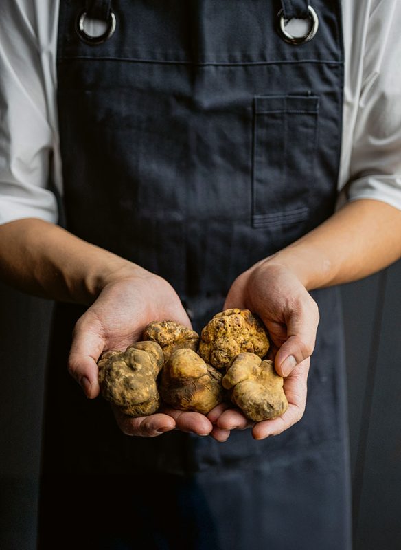 callwey-gruen-warm-gut-trueffel