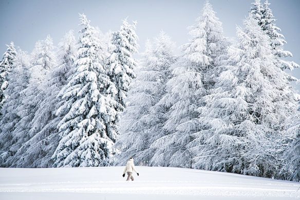 callwey-skiing-winter-landscape