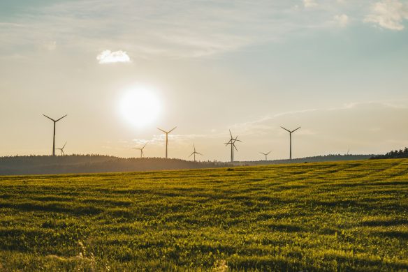 callwey-standort-windraeder