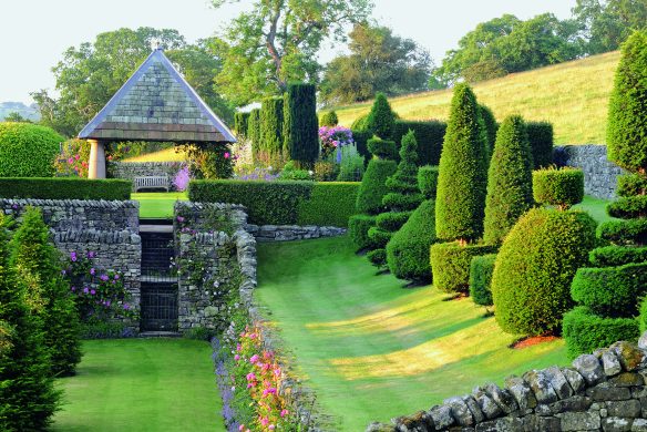 Where sympathy and experimentation go hand in hand