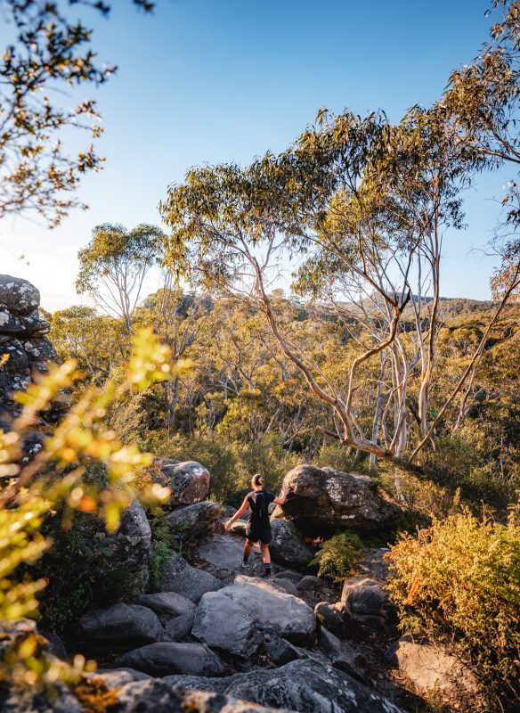 callwey-off-track-grampians2