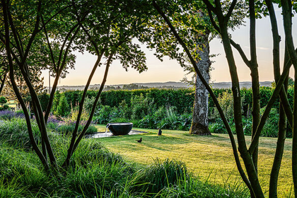 1202_Burkersroda_Logenplatz_Gartenpanorama_Wasserelement mit Amsel_Icking_0725_410_1317_WEB