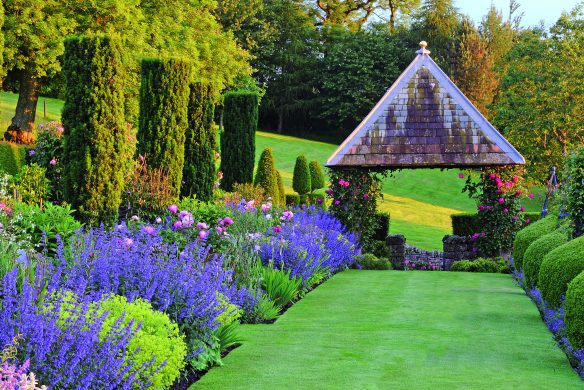 Where sympathy and experimentation go hand in hand