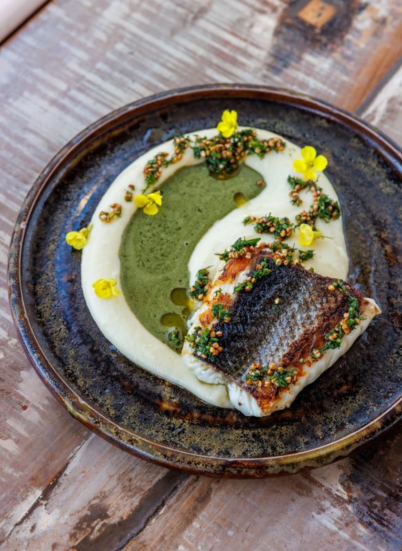 callwey-bretagne-wildfangfisch