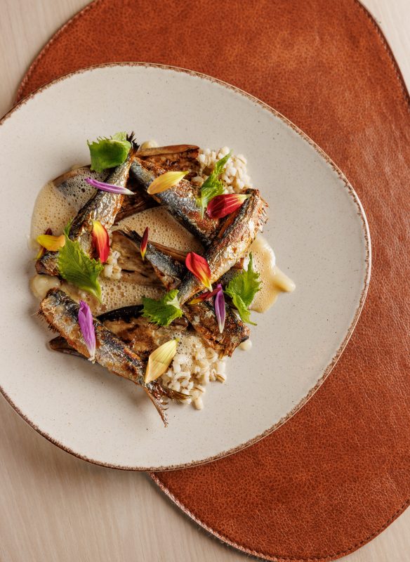 callwey-bretagne-sardinen