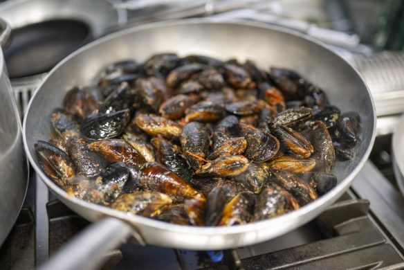 callwey-amalfi-muscheln