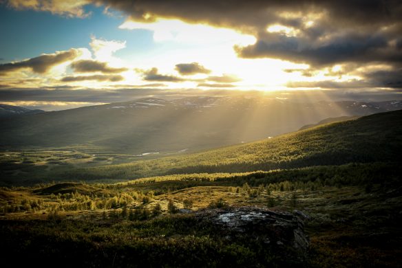 callwey-off-track-ausblick