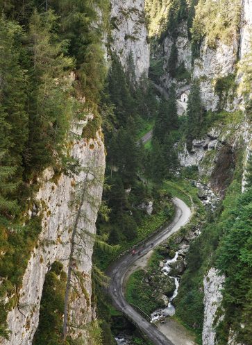 callwey-auf-asphalt-strasse