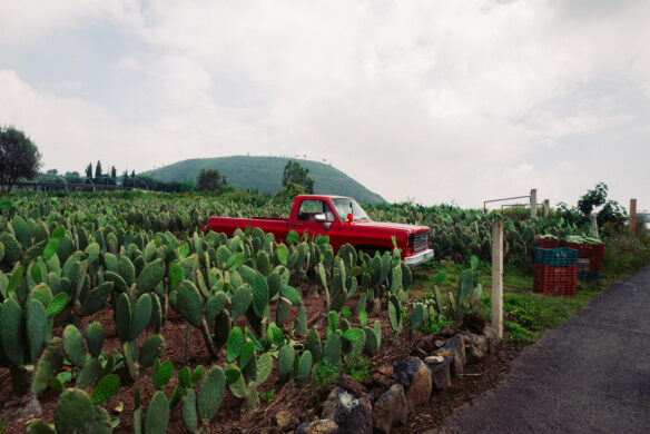 callwey-mexiko-auto-in-feld
