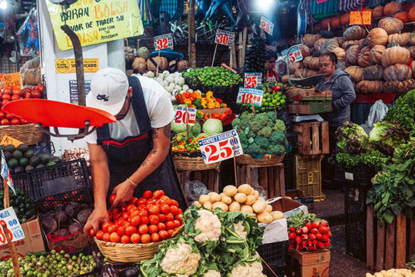 callwey-mexiko-markt