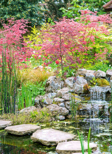 callwey-gartennovitaeten-romantische-gaerten2