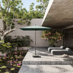 I_9022240610_ApolBlackEdition_Aloe_WEB