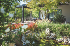 Mittel (729_Terrassen2023_Hettlingen 3 von 1)