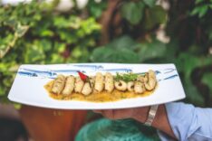 0ebe9281-b081-4739-9502-2b0e671b9a2a