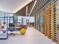 587-AW - 2Sprossenwände_WEB