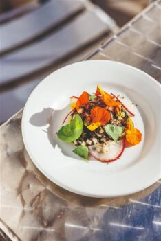 5f444b28-08d4-4cbd-9246-039f801ef8de